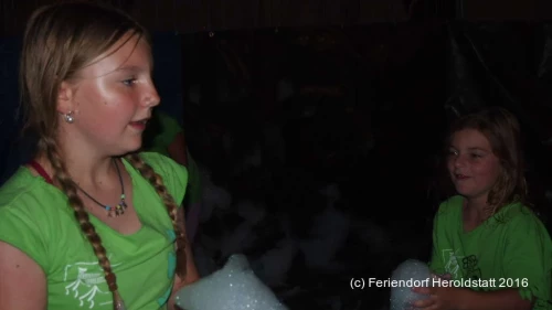 FDH 2016 P9011403 1024