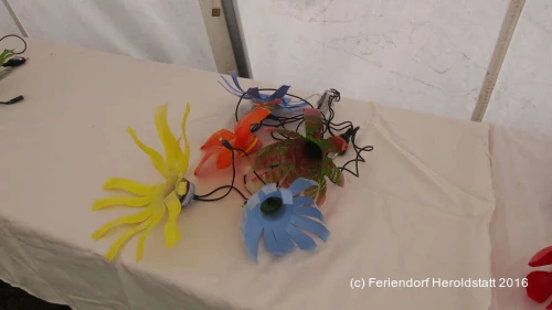 FDH 2016 P9020036 1024