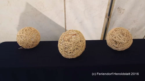 FDH 2016 P9020049 1024