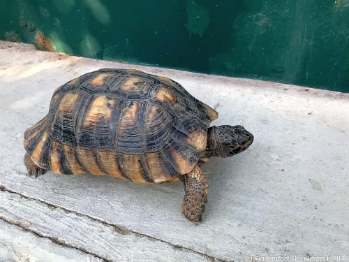 01 IMG-20180830-WA0004 1400