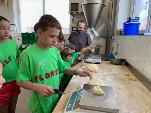 3c8e9fdd-7fc4-4b96-8ab6-8408b9d1354a